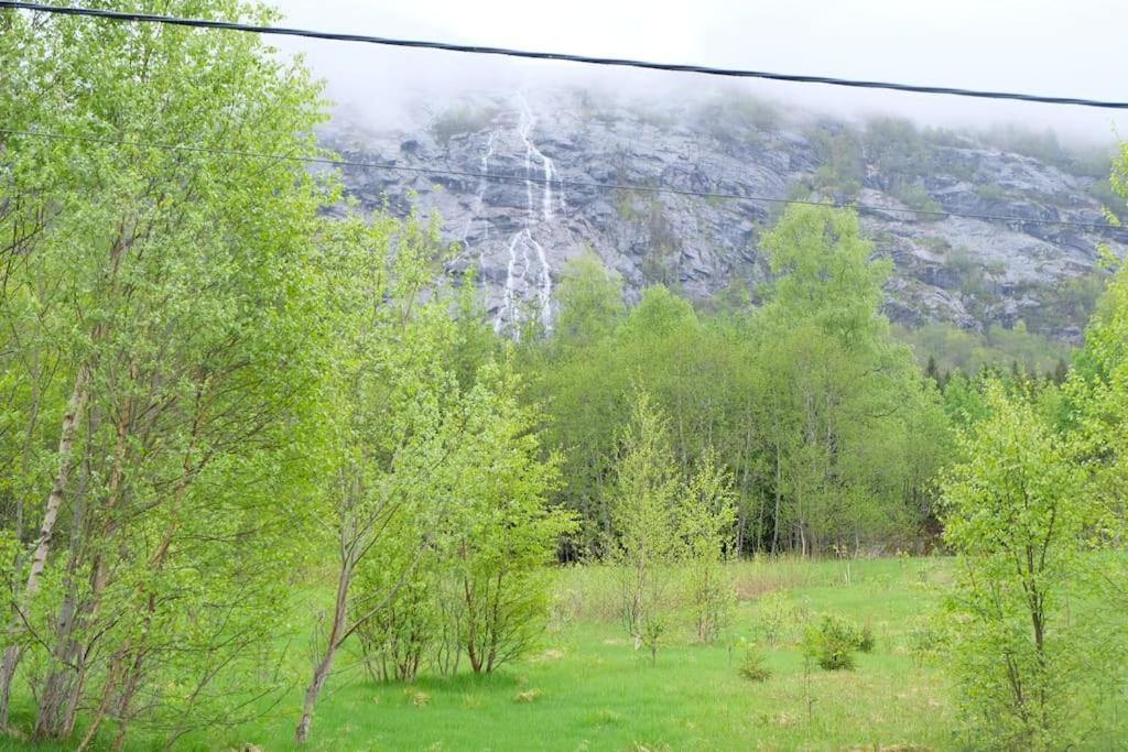 Apartment With Lake View In Jolster Ardal  Exterior photo